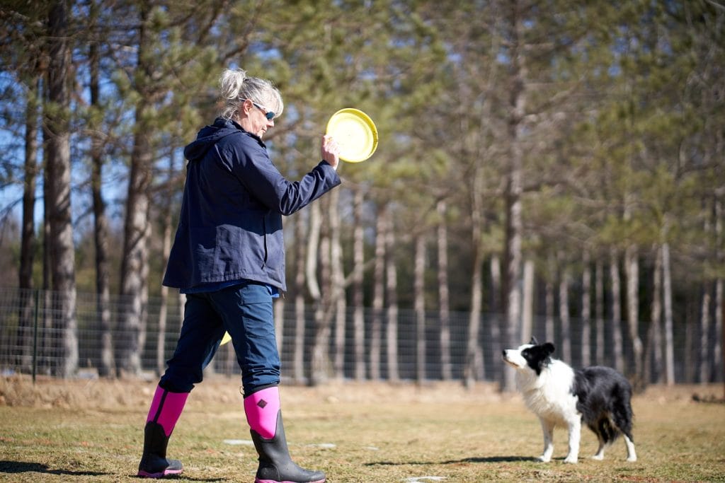 Frisbee Canin Laurentides